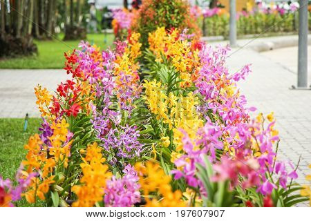 the seed-bearing part of a plant, consisting of reproductive organs (stamens and carpels) that are typically surrounded by a brightly colored corolla (petals) and a green calyx (sepals)