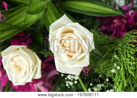 the seed-bearing part of a plant, consisting of reproductive organs (stamens and carpels) that are typically surrounded by a brightly colored corolla (petals) and a green calyx (sepals)
