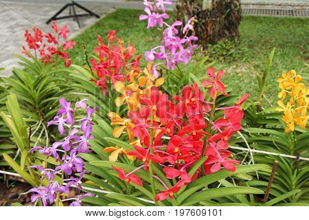the seed-bearing part of a plant, consisting of reproductive organs (stamens and carpels) that are typically surrounded by a brightly colored corolla (petals) and a green calyx (sepals)