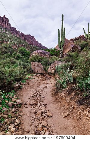 Path up to the mountains Arizona landscape at Tonto National Forest USA