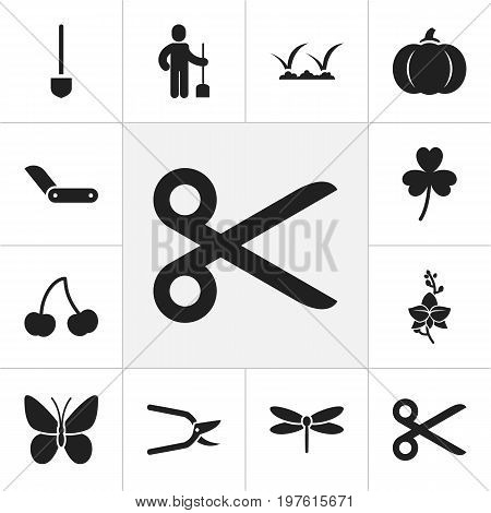Set Of 12 Editable Planting Icons. Includes Symbols Such As Berry, Monarch, Spade And More