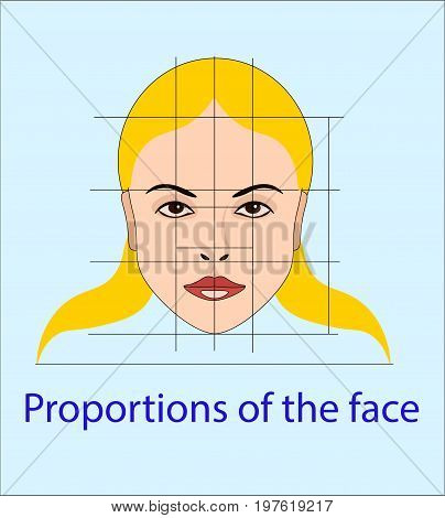 Vector face with lines showing facial proportions for cosmetology and drawing study in primitive style