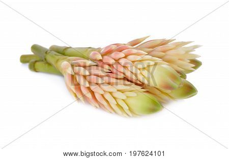 peeled Cassumunar ginger (Phlai Thai text) native and edible flowers on white background