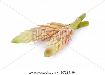 peeled Cassumunar ginger (Phlai Thai text) native and edible flowers on white background