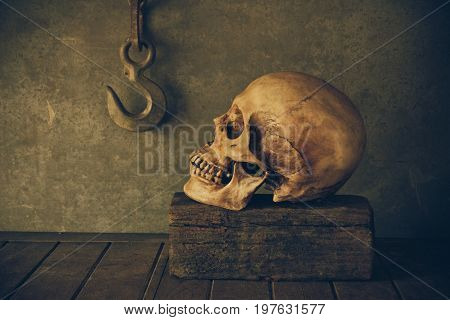 Still Life with a Skull concept on the art.