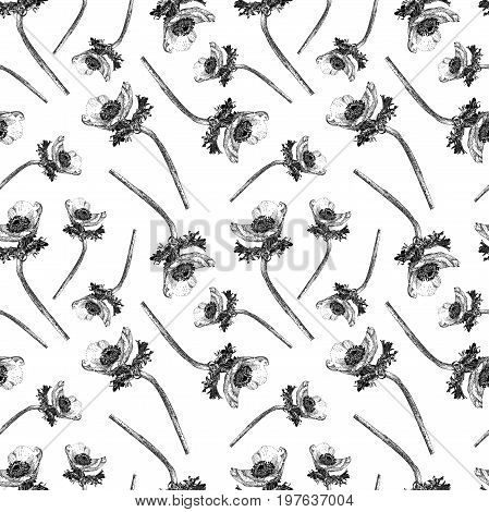 Seamless pattern with anemone flower isolated on white background drawn by hand. Graphic drawing pointillism technique. Botanical natural collection. Black and white floral illustration