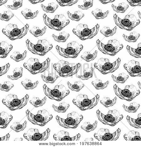 Seamless pattern with anemone flower isolated on white background drawn by hand. Graphic drawing pointillism technique. Botanical natural collection. Black and white floral illustration