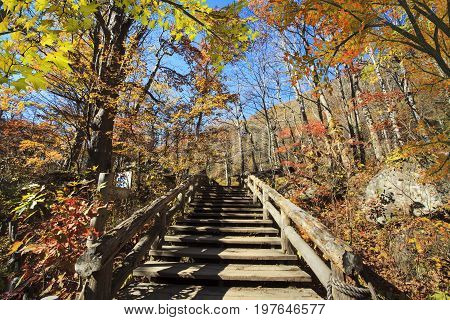 Oirase Gorge Beautiful River Druing The Autumn Season, Japan