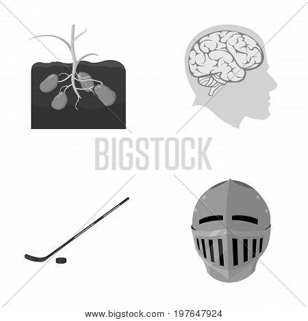 sport, nature, history and other  icon in cartoon style.Ages, fight, medicine, icons in set collection.