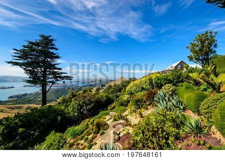The Gardens of Larnach Castle Dunedin New Zealand