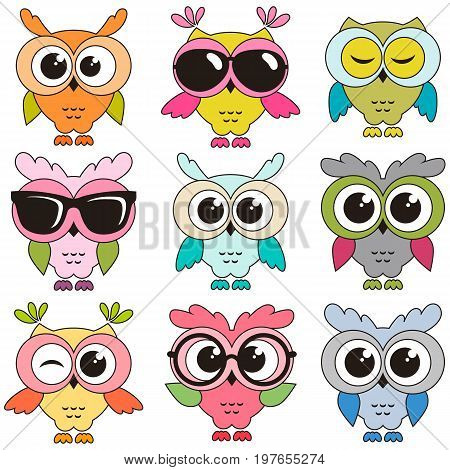 Set of cool colorfull owls isolated on white background