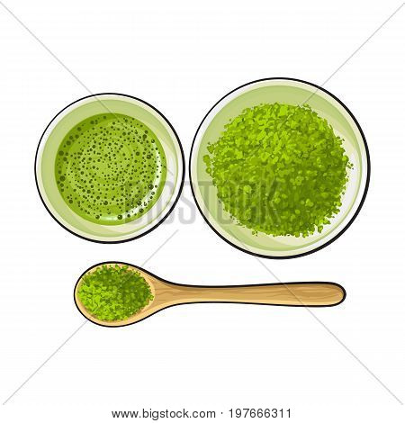 Hand drawn bowl and bamboo spoon of matcha powder, green tea cup, sketch vector illustration isolated on white background. Realistic hand drawing of matcha green tea powder and hot matcha tea cup
