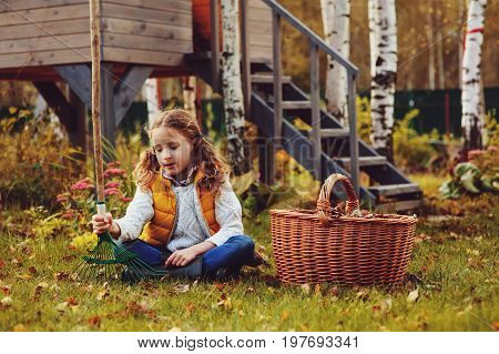 happy child girl playing little gardener in autumn and picking leaves into basket. Seasonal garden work.