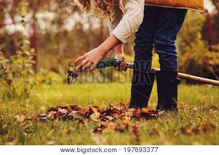 happy child girl playing little gardener in autumn and picking leaves into basket. Seasonal garden work.