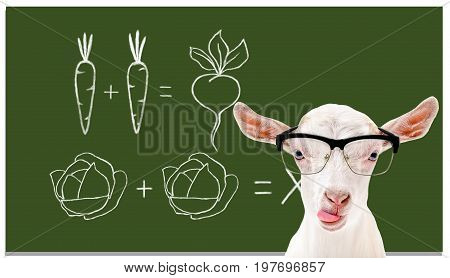 Portrait of a smart goat wearing glasses on the background of a school board