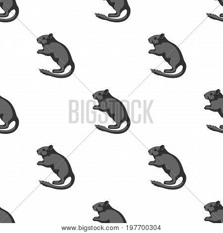 Gray gerbil.Animals single icon in cartoon style vector symbol stock illustration .