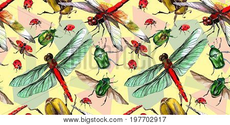 Exotic beetle bronzovka wild insect pattern in a watercolor style. Full name of the insect: beetle bronzovka. Aquarelle wild insect for background, texture, wrapper pattern or tattoo.
