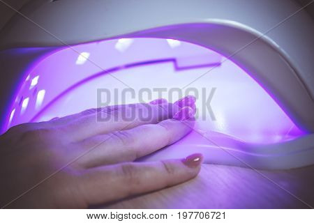 UV lamp gel polish manicure process. Salon procedure. The master coats the client's nails with a varnish.