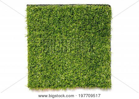 Artificial green grass in square plate on white background