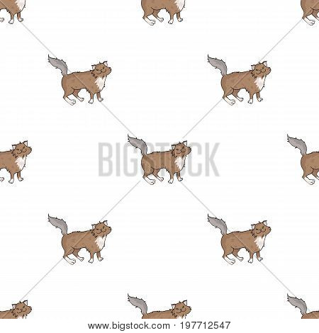 Norwegian Forest Cat icon in cartoon design isolated on white background. Cat breeds symbol stock vector illustration.