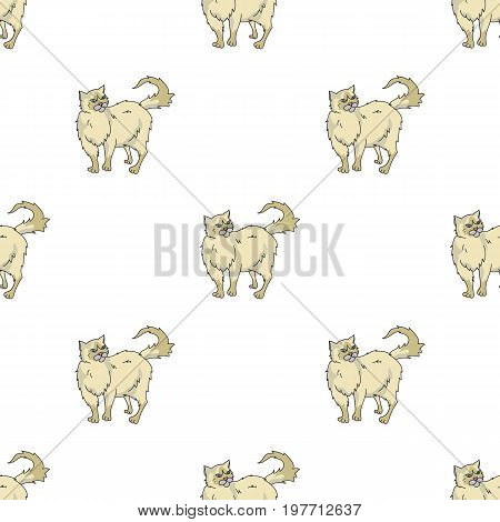 Persian icon in cartoon design isolated on white background. Cat breeds symbol stock vector illustration.