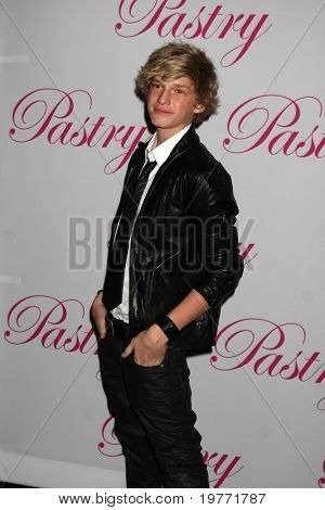 SANTA MONICA, CA - JAN 19: Cody Simpson arriva alla 14a festa di compleanno di Cody Simpson a Pacific Pa