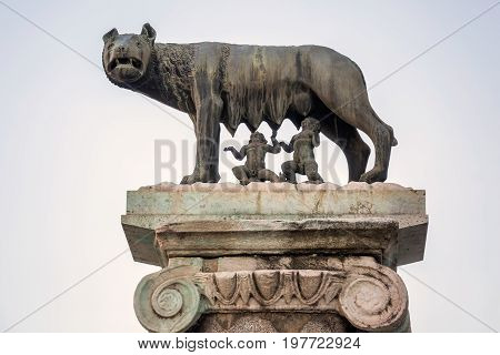 Statue of Romulus and Remus at Forum of Caesar in Rome, Italy. Architecture and landmark.