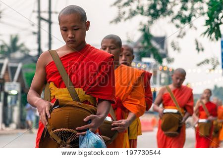 LUANG PRABANG LAOS - MARCH 12 2017: Horizontal picture of young monks going in line to Buddhist Alms Giving Ceremony where local people offers food and money before the sunrise in Luang Prabang Laos.