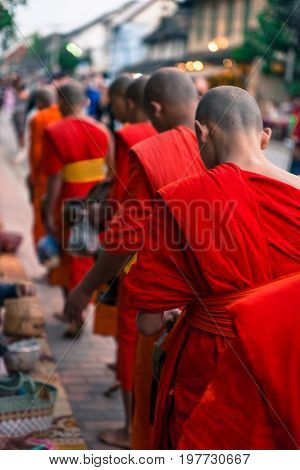 LUANG PRABANG LAOS - MARCH 12 2017: From the back picture of monks receving food and money at Buddhist Alms Giving Ceremony before the sunrise in Luang Prabang Laos.