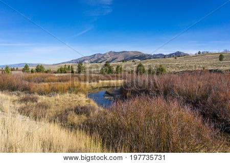 A stream flows through a Sawtooth Mountain Grassland surrounded by red rushes with a clear blue sky overhead.
