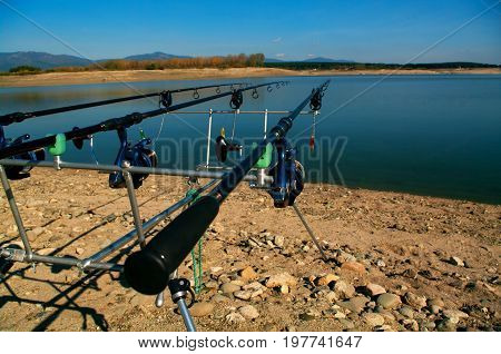 Carp fishing. Rods on a rod pod with the swingers attached ready to catch some fish monster.
