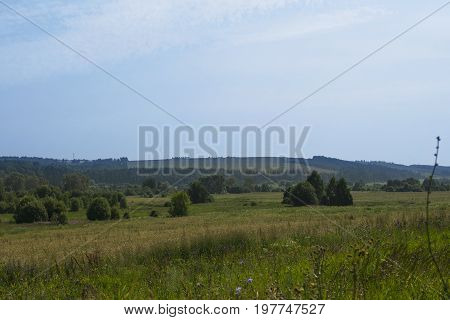 Russian hot summer vast field beautiful landscape shot with fine blue sky and clouds and several bushes on the foreground