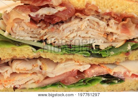 Fresh chicken meat sandwich: charcuterie lettuce pickles and mayonaisse
