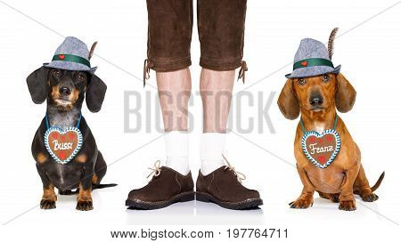 Bavarian Beer Dog