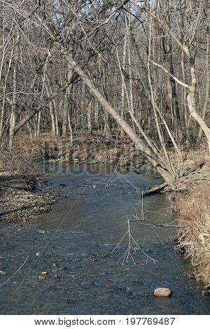 A creek in the Hammel Woods Forest Preserve in Shorewood, Illinois, leads to the Du Page River, during December.