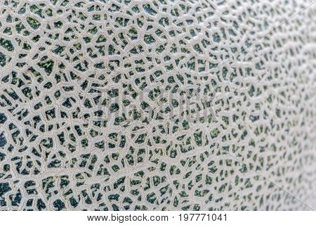 Detail texture of Hamigua melon skin (sweet cantaloupe melon) isolated on white background.