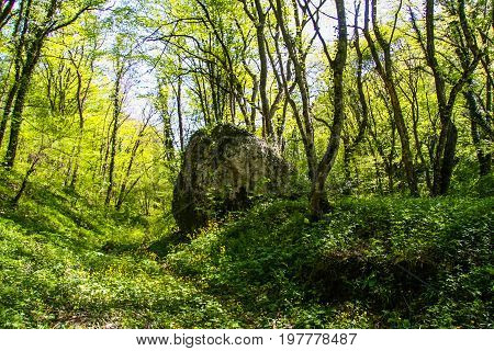The Vicinities Of The Mangush Plateau