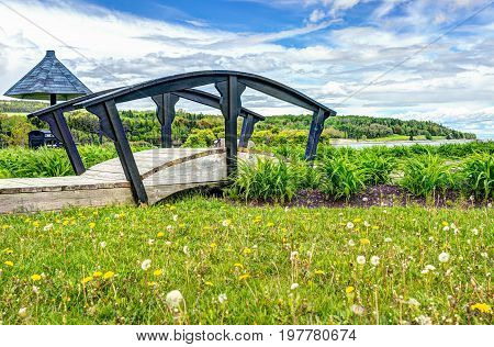 Small Bridge By Yellow Dandelion Flowers By Saint Lawrence River In La Malbaie, Quebec, Canada In Ch