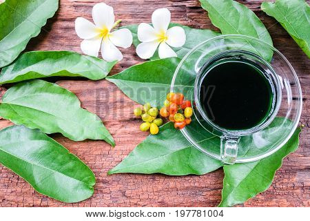 bai-ya-nang juice(thai name) thai herb (Tiliacora triandra)