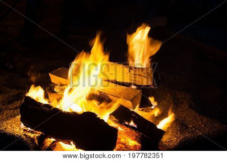Beautiful burning bonfire in night close up