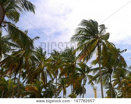 This is a beach of the Caribbean, known as Puerto Cabello, located in the Venezuelan Caribbean