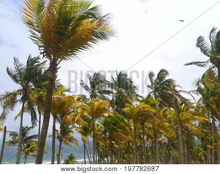 This is a beach of the Caribbean, known as Puerto Cabello, located in the Venezuelan Caribbean