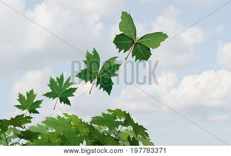 Imagination idea and transition concept as a leaf changing to a butterfly shape as a fantasy travel and amazing inspirational spirit symbol in a 3D illustration style.