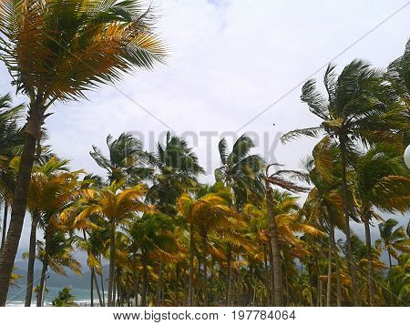 This is a beach of the Caribbean, known as Puerto Cabello, located in the Venezuelan Caribbean