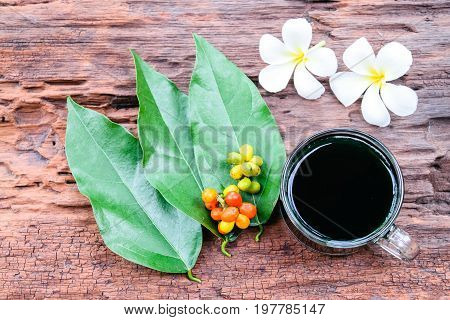 bai-ya-nang juice(thai name) thai herb (Tiliacora triandra)