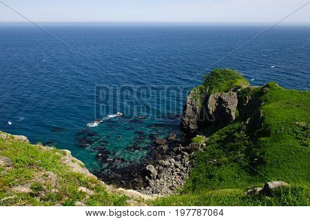 Green trees and meadow rocks near the sea seascape