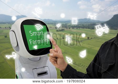 iot internet of things agriculture concept Farmer use smart robot to help to control monitor and management including feed water fertilizer chemical replant etc in the farm for more efficiency