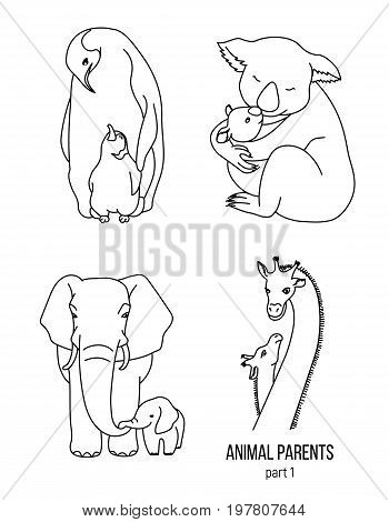 Set of parent and kid animals, vector coloring page, part 1, penguin, elephant, giraffe and koala
