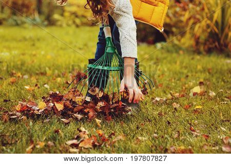 happy child girl playing little gardener in autumn and picking leaves into basket. Seasonal garden work. Backyard cleaning.