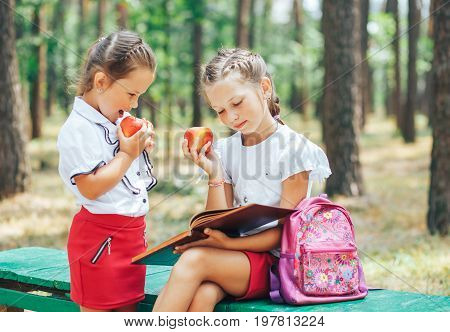 Two schoolgirls are sitting on a bench eating apples and doing homework. Girls reading a book outdoors
